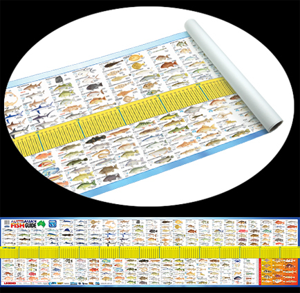 Fish ID Maxi Ruler With Detailed Fish Illustrations For Quick Identification 
