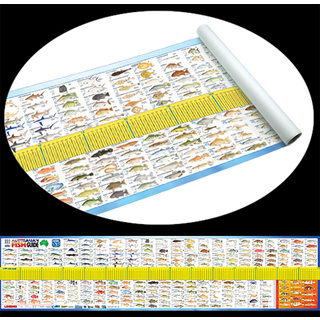Fish ID Maxi Ruler With Detailed Fish Illustrations For Quick Identification