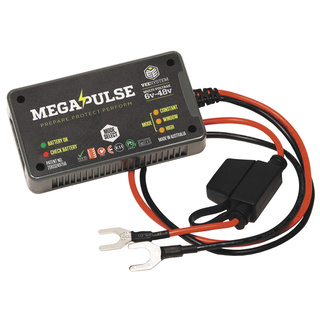 Megapulse Battery Conditioner
